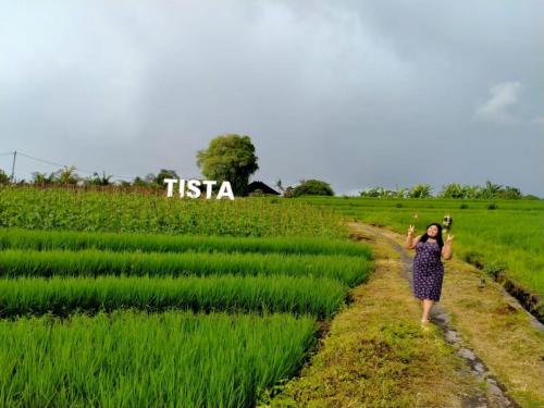 Tista Village Rice Fields Tourist Destination